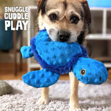 Turtle Eco Dog Toy
