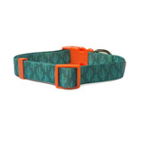 Cactus Eco-Friendly Dog Collar
