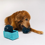 Blueberries Dog Toy Blueberries Dog Toy
