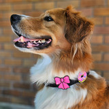 Pink Ribbon Dog Badge