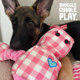 Rosie the Robot Eco Dog Toy