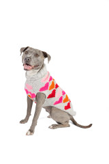 Adorable colorful hearts dog sweater 100% wool fair trade gray with rainbow hearts stylish design