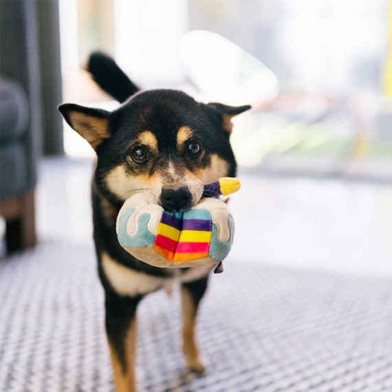 Party Time Mini Bone-appetite Cake squeaky crinkle dog toy