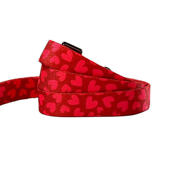 eco friendly red hearts dog leash