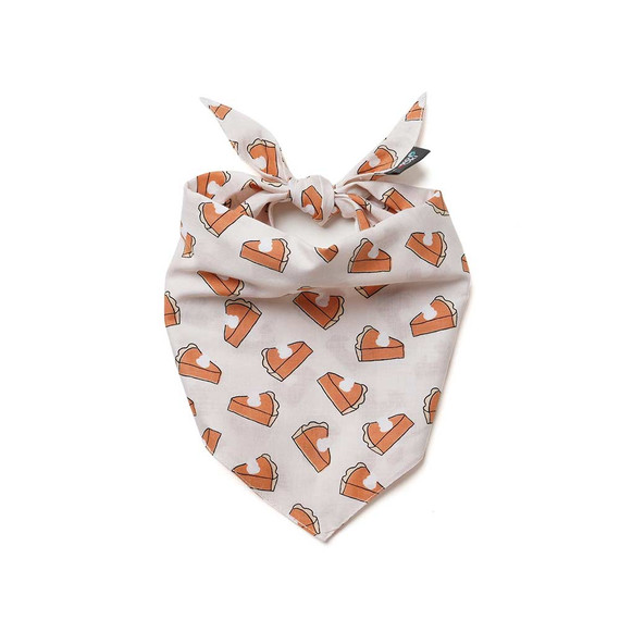 Pumpkin Pie Pet Bandana