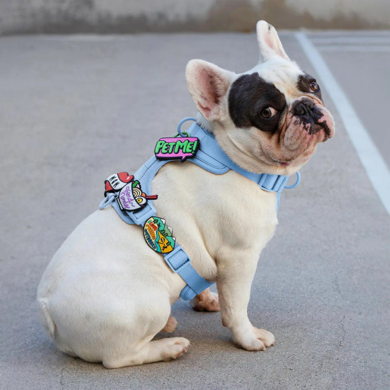 Pet Me Dog Jiby silicone charm on dog harness