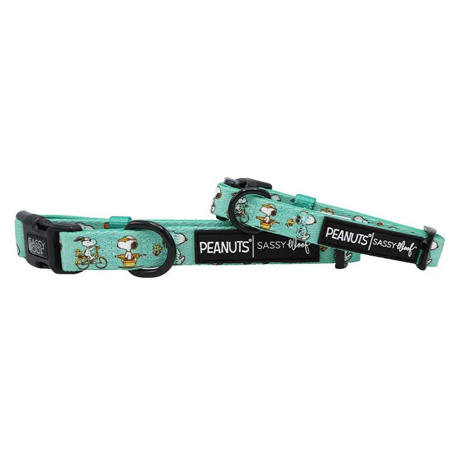 Official Peanuts Road Tripping dog collar with Snoopy-inspired adventure design