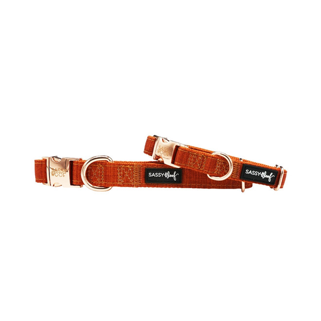 Burnt Orange Foxy dog collar in neoprene with adjustable fit and metal clasp