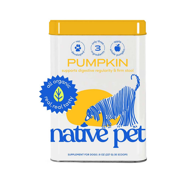 Pumpkin for dog poop