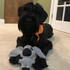 Sustainable corn fleece small dog toy shaped like a koala