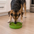 USA-made FDA-compliant TPE slow feeder tray, BPA-free and dishwasher safe