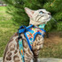 Cat Leash 6ft - Portofino