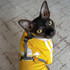 Cat booty charm on cat collar BPA-free non-toxic waterproof silicone