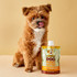 squeeze peanut butter for dogs