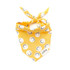 Friends happy faces yellow bandana