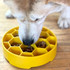 non-toxic slow feeder for all dogs