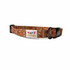 cute fall dog collar