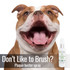 Dog Breath Control