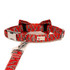 Snowy Pines Leash