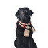 tan plaid dog scarg