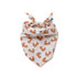Pumpkin pie pet bandana with pie slices on white background