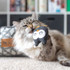 Organic catnip toys