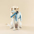 Octopus Earth-friendly Dog Toy