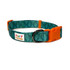 Cactus Dog Collar