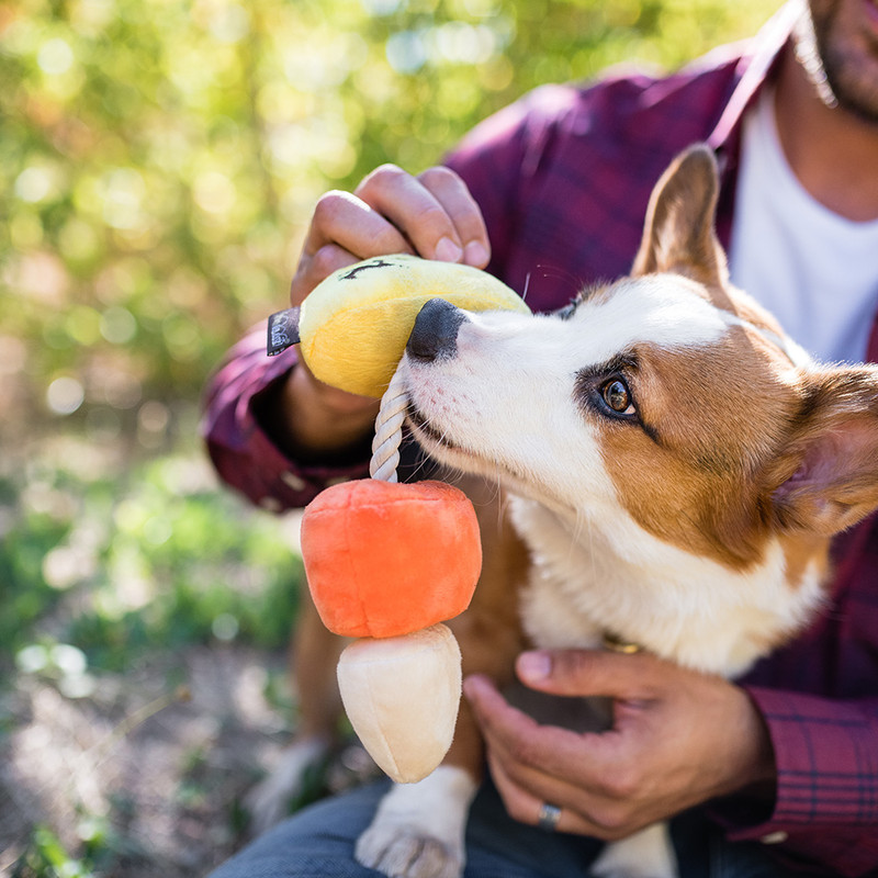 candy corn corgi plush