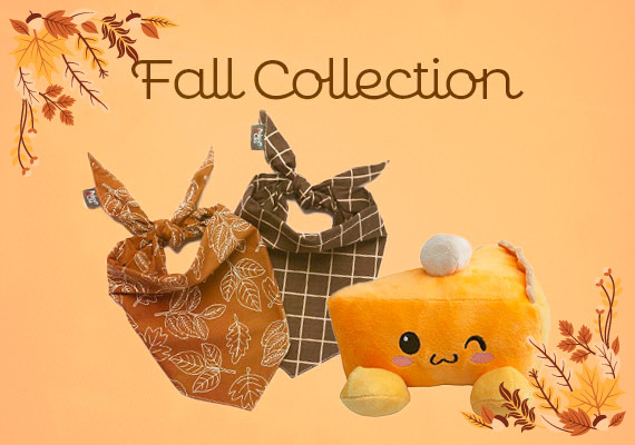 Fall Collection for Pets