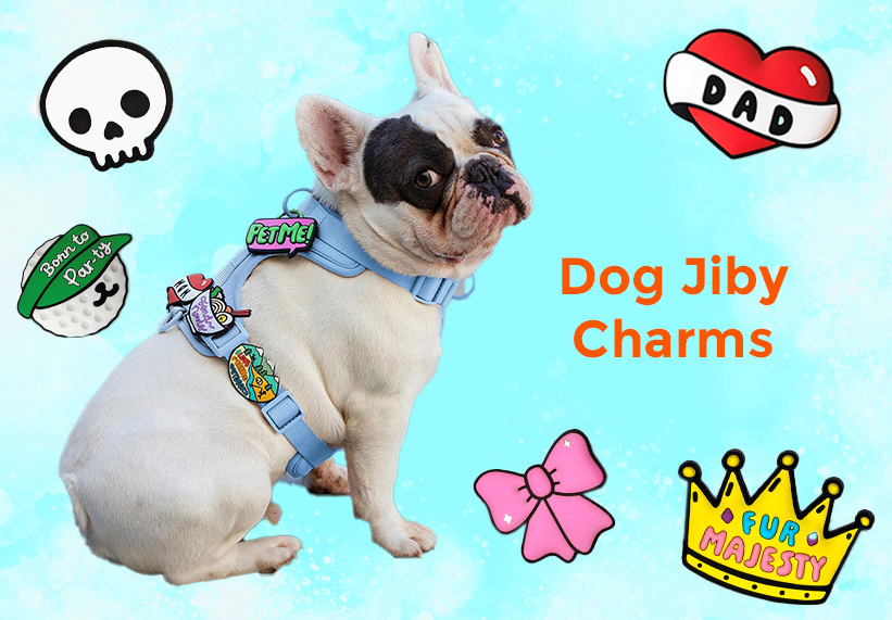 Dog Jiby Charms
