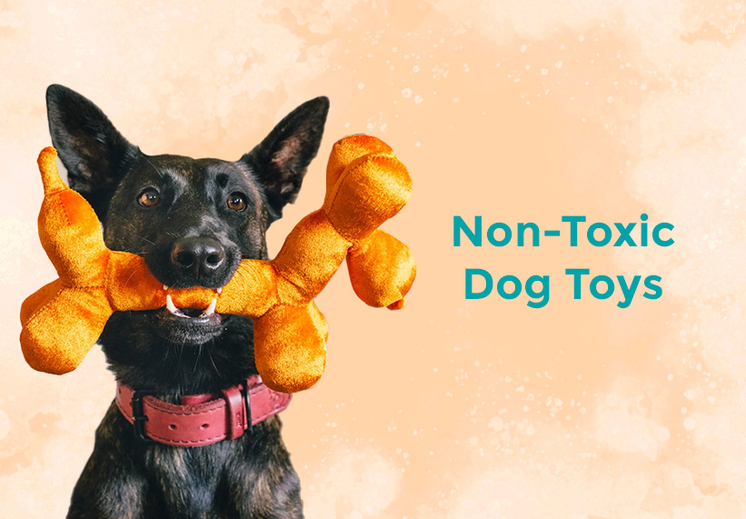 Non-toxic Dog Toys