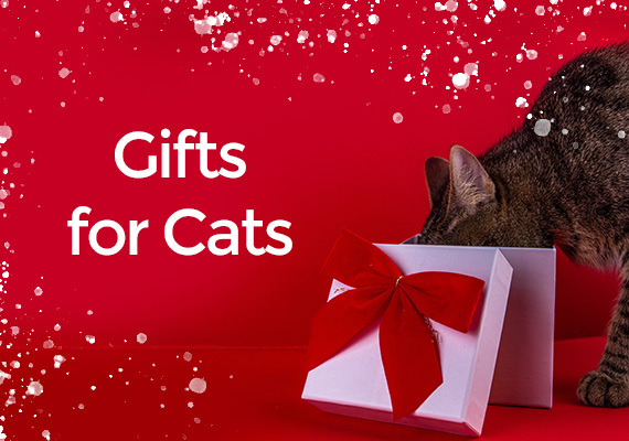 Gifts for Cats
