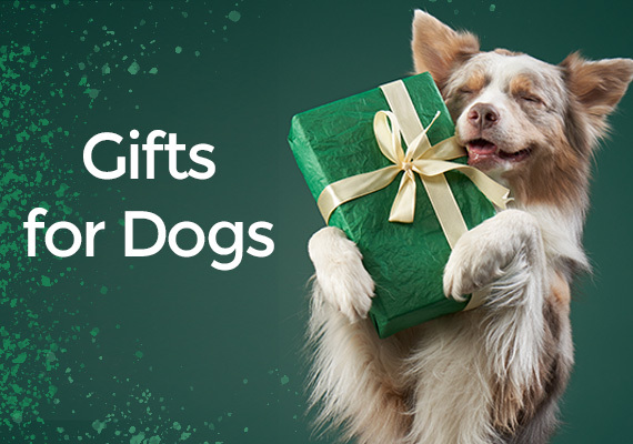 Gifts for Dogs