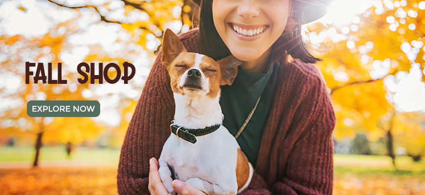 Fall Shop Pet Collection