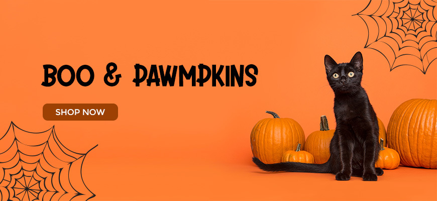 Halloween Pet Collection