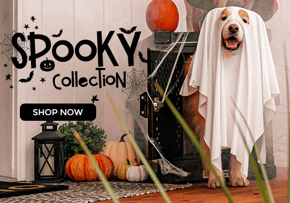 Halloween for dogs and cats