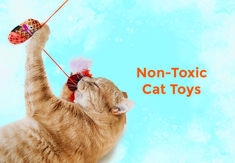 Cat Toys