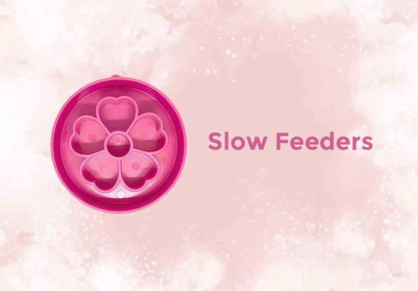 Slow Feeders