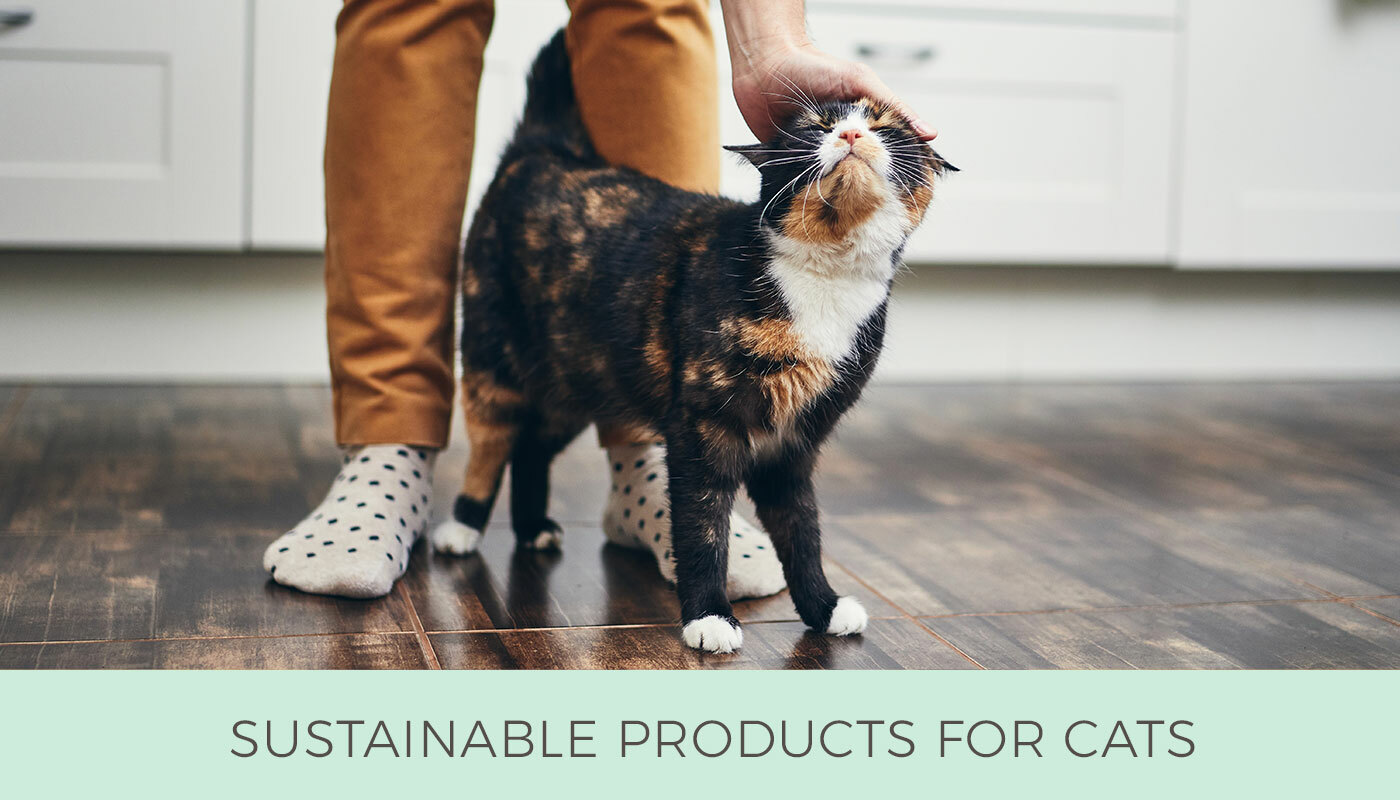 Sustainable Cat Products