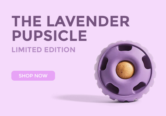 Limited Edition Lavender Pupsicle