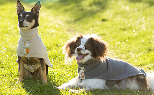 Lick Mats: The Pawsitively Pawesome Treat-Time Solution for Dogs