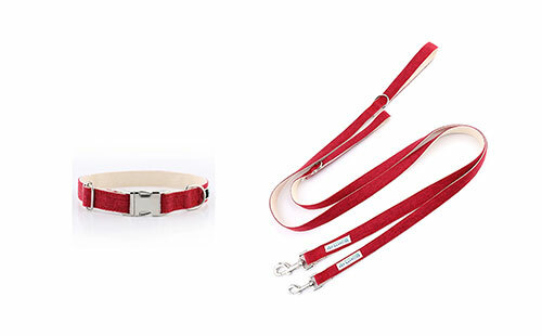 Collars & Leashes