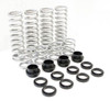 Racertech Polaris RZR S 900 Dual Rate Springs