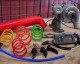 Dynojet Stage 4 Power Package for Polaris RZR Pro XP /  RZR Turbo R