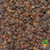 Organic Raisins Thomson Seedless