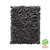 Black Currants Whole Freeze Dried