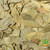 Bay Leaves