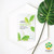 PLAN36.5 Plant Cell Daily Mask Green Tea