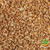 Apple Diced Sulfur (SO2) Free